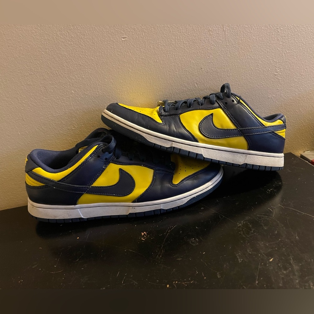 Nike SB Michigan